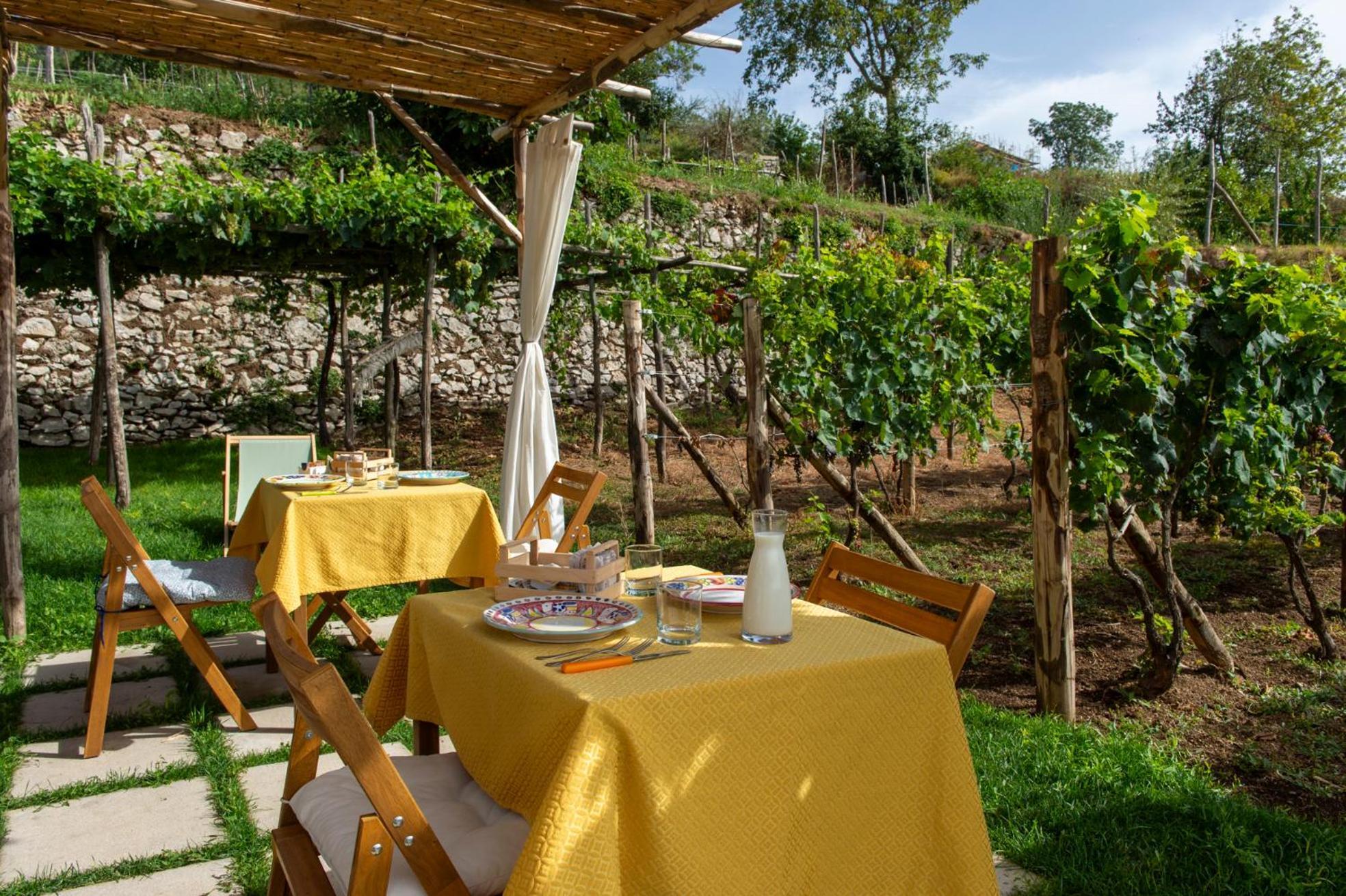 Il Vigneto Di Nonno Pietro Bed & Breakfast Agerola Dış mekan fotoğraf