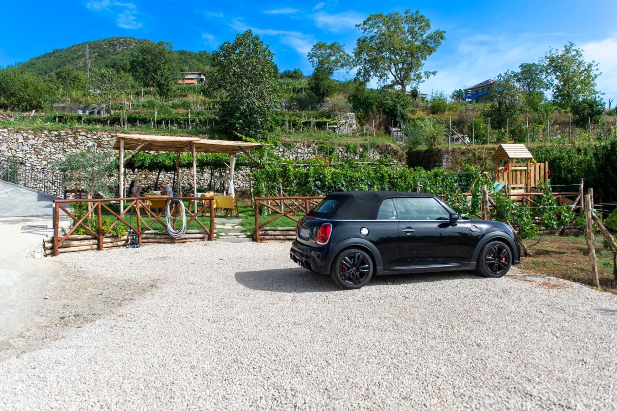 Il Vigneto Di Nonno Pietro Bed & Breakfast Agerola Dış mekan fotoğraf