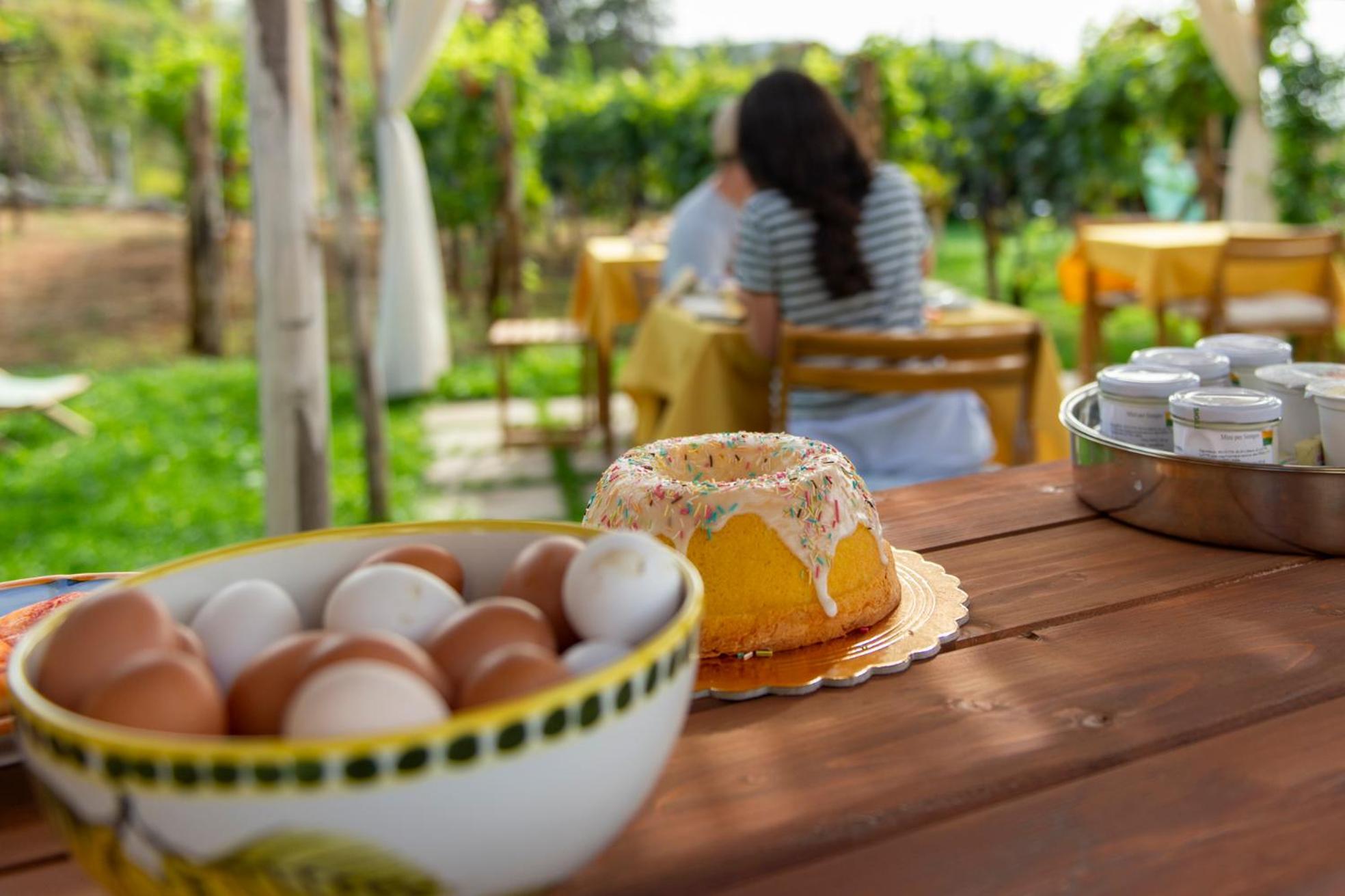 Il Vigneto Di Nonno Pietro Bed & Breakfast Agerola Dış mekan fotoğraf