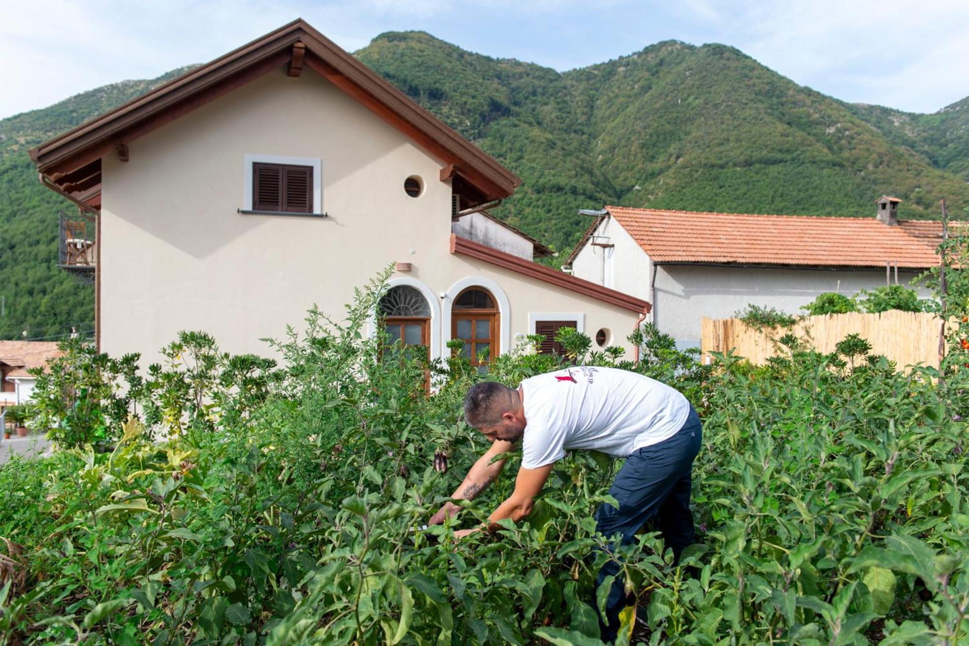 Il Vigneto Di Nonno Pietro Bed & Breakfast Agerola Dış mekan fotoğraf