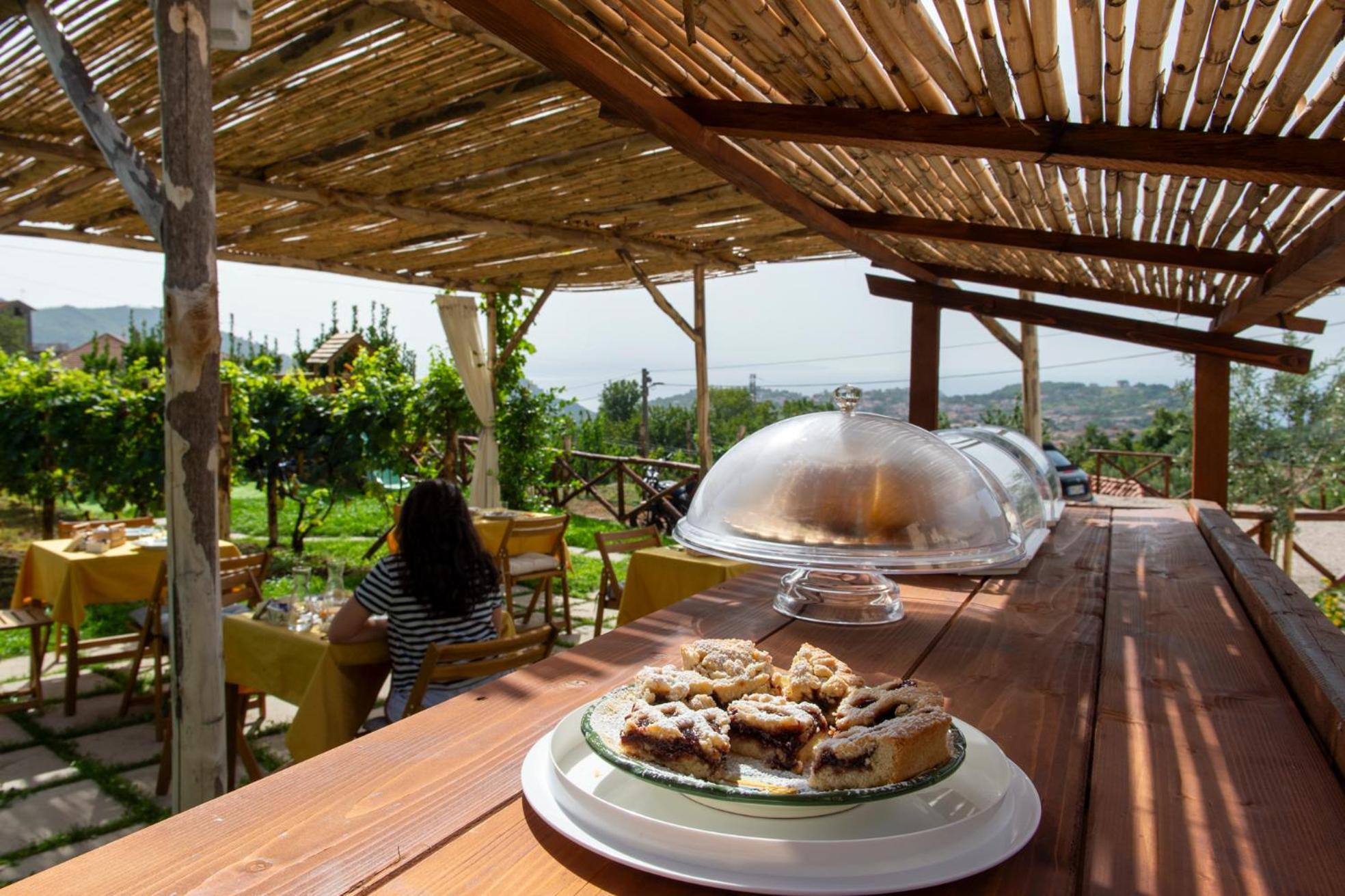 Il Vigneto Di Nonno Pietro Bed & Breakfast Agerola Dış mekan fotoğraf