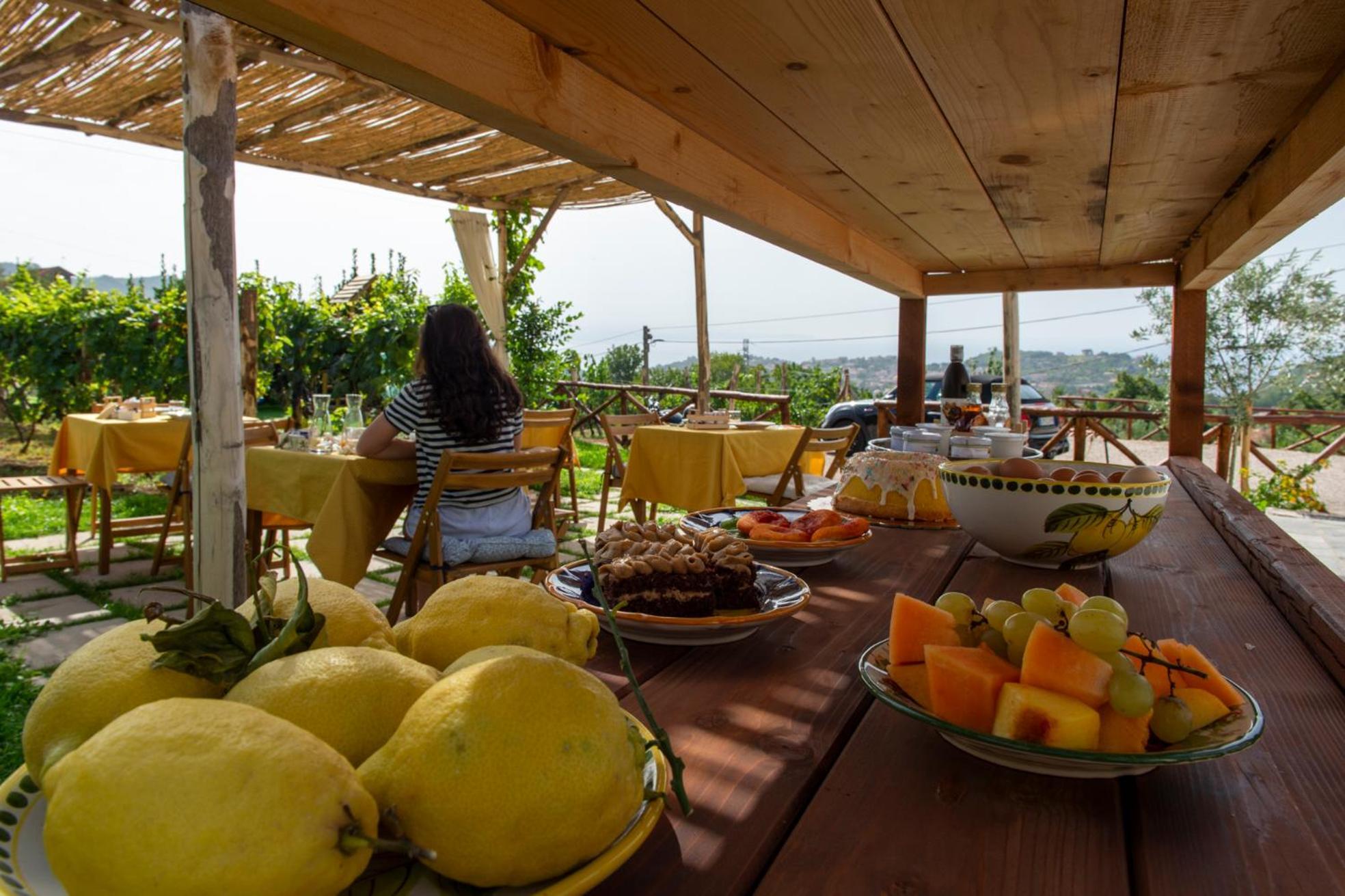 Il Vigneto Di Nonno Pietro Bed & Breakfast Agerola Dış mekan fotoğraf