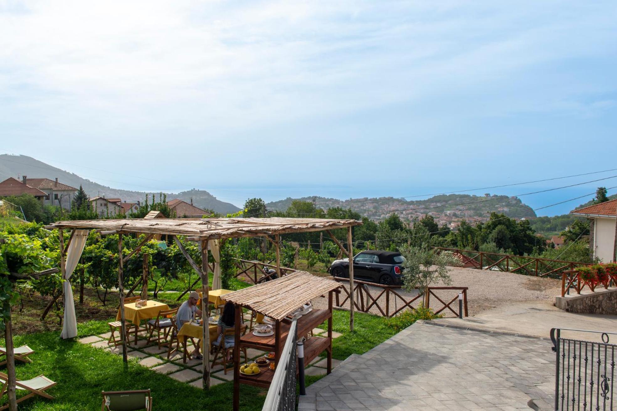 Il Vigneto Di Nonno Pietro Bed & Breakfast Agerola Dış mekan fotoğraf