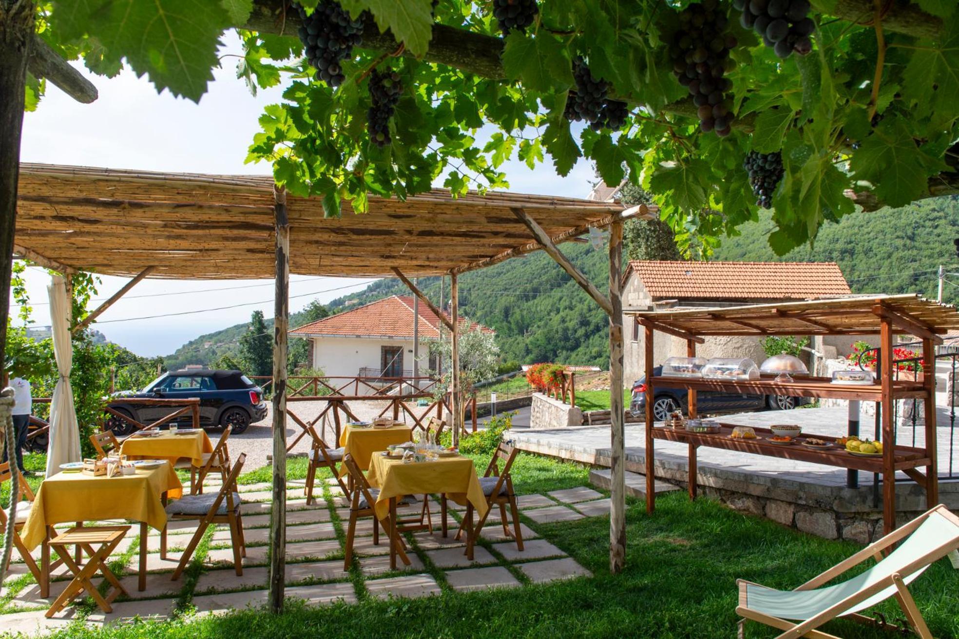 Il Vigneto Di Nonno Pietro Bed & Breakfast Agerola Dış mekan fotoğraf