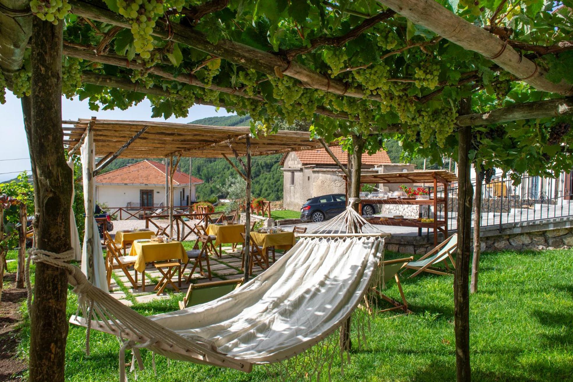 Il Vigneto Di Nonno Pietro Bed & Breakfast Agerola Dış mekan fotoğraf