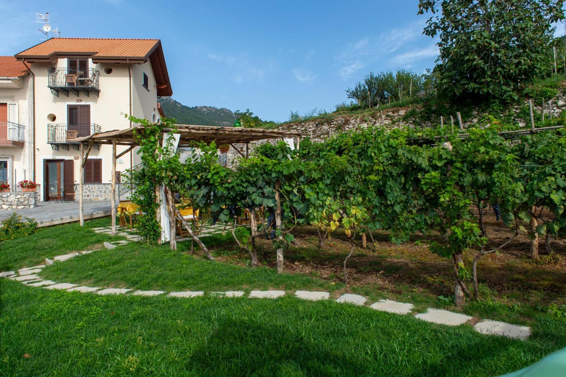 Il Vigneto Di Nonno Pietro Bed & Breakfast Agerola Dış mekan fotoğraf