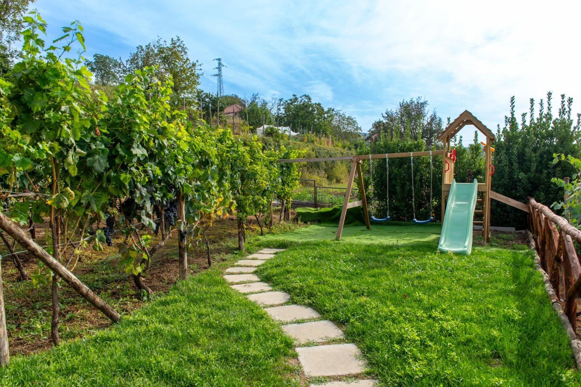 Il Vigneto Di Nonno Pietro Bed & Breakfast Agerola Dış mekan fotoğraf