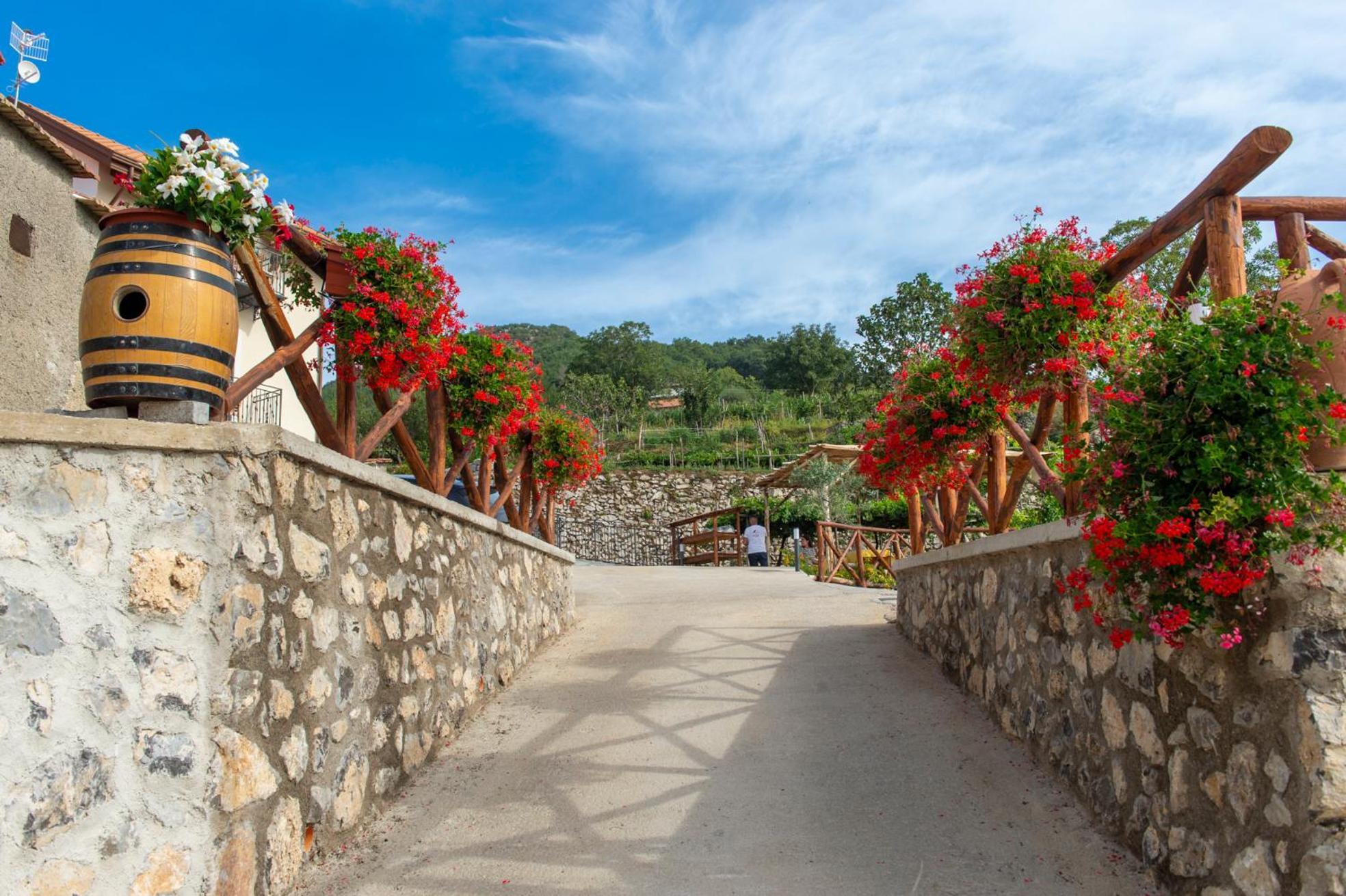 Il Vigneto Di Nonno Pietro Bed & Breakfast Agerola Dış mekan fotoğraf