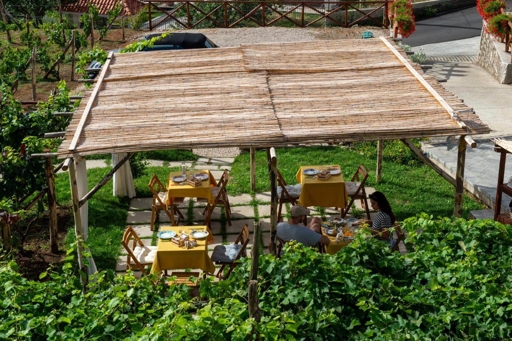 Il Vigneto Di Nonno Pietro Bed & Breakfast Agerola Dış mekan fotoğraf