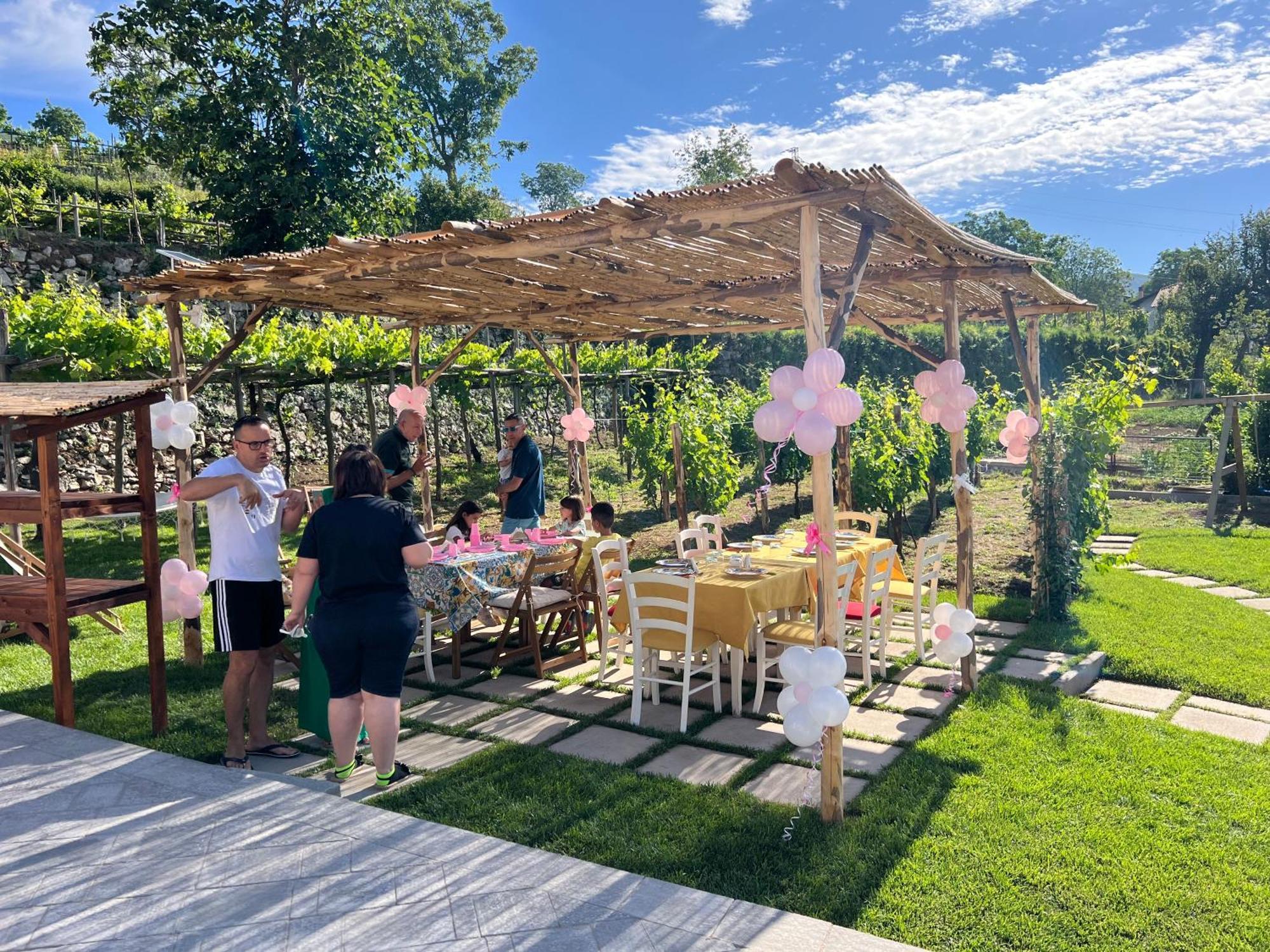 Il Vigneto Di Nonno Pietro Bed & Breakfast Agerola Dış mekan fotoğraf