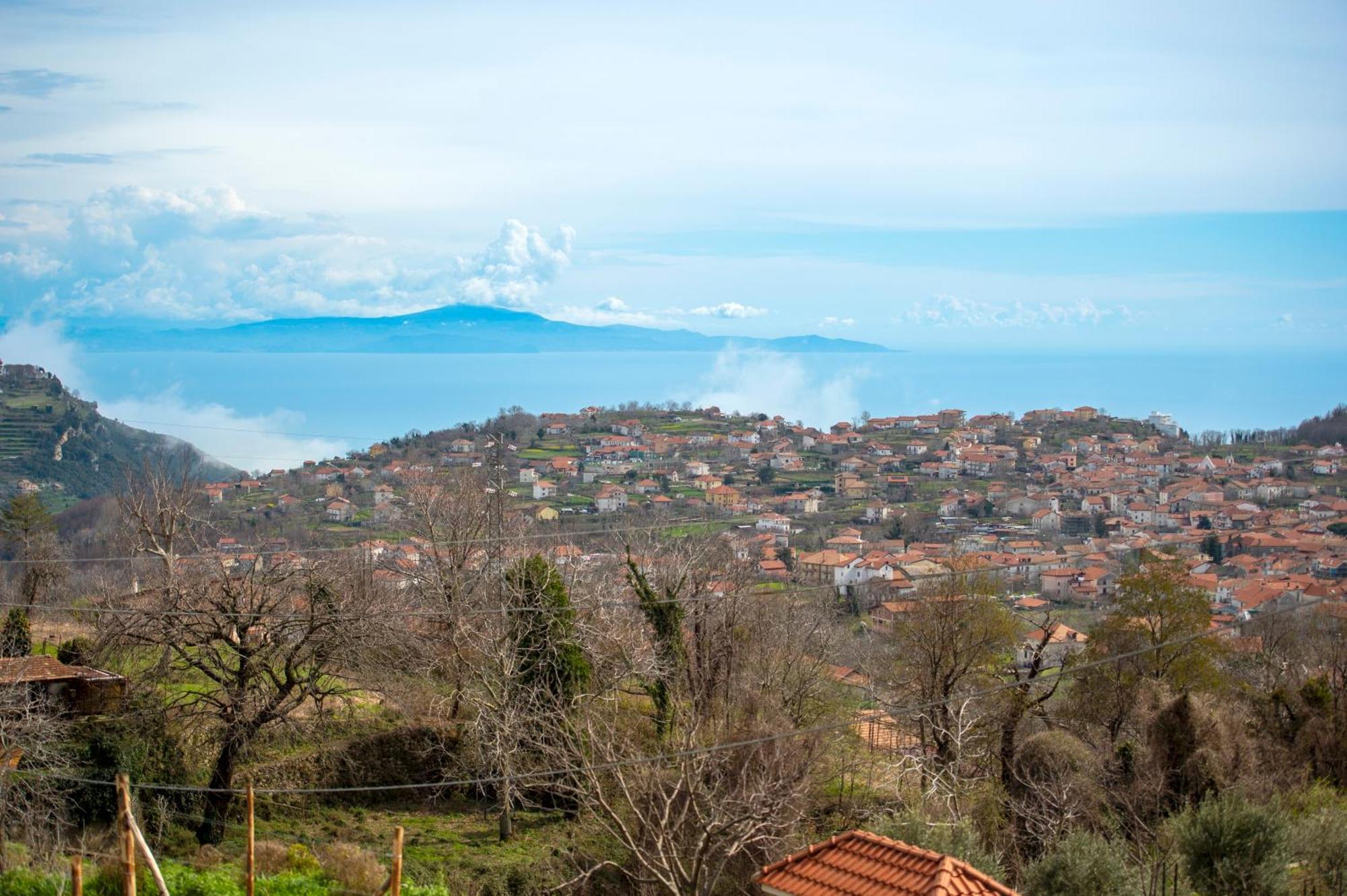 Il Vigneto Di Nonno Pietro Bed & Breakfast Agerola Dış mekan fotoğraf